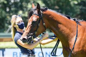 Jen Esprit & Lucy, Mornington 4 Dec 2020